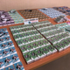 Image for article titled 6,850 Fake Amiibo Cards Seized In Taiwan
